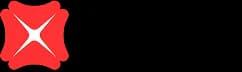 dbs logo